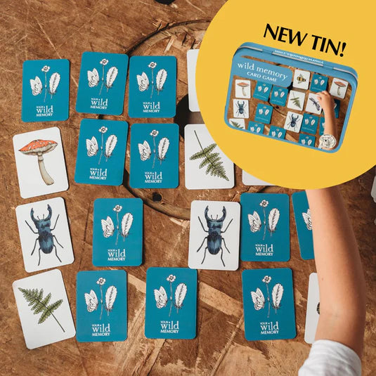 Wild Nature Memory Card Game