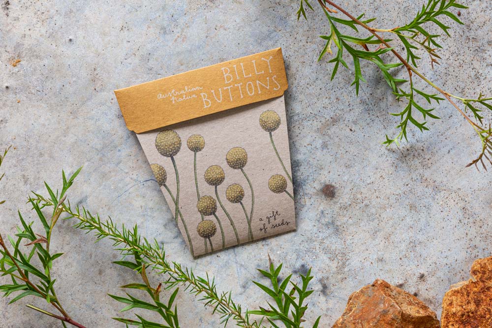 Greeting Cards with the Gift of Seeds