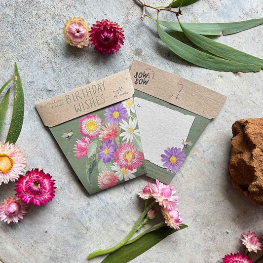 Greeting Cards with the Gift of Seeds