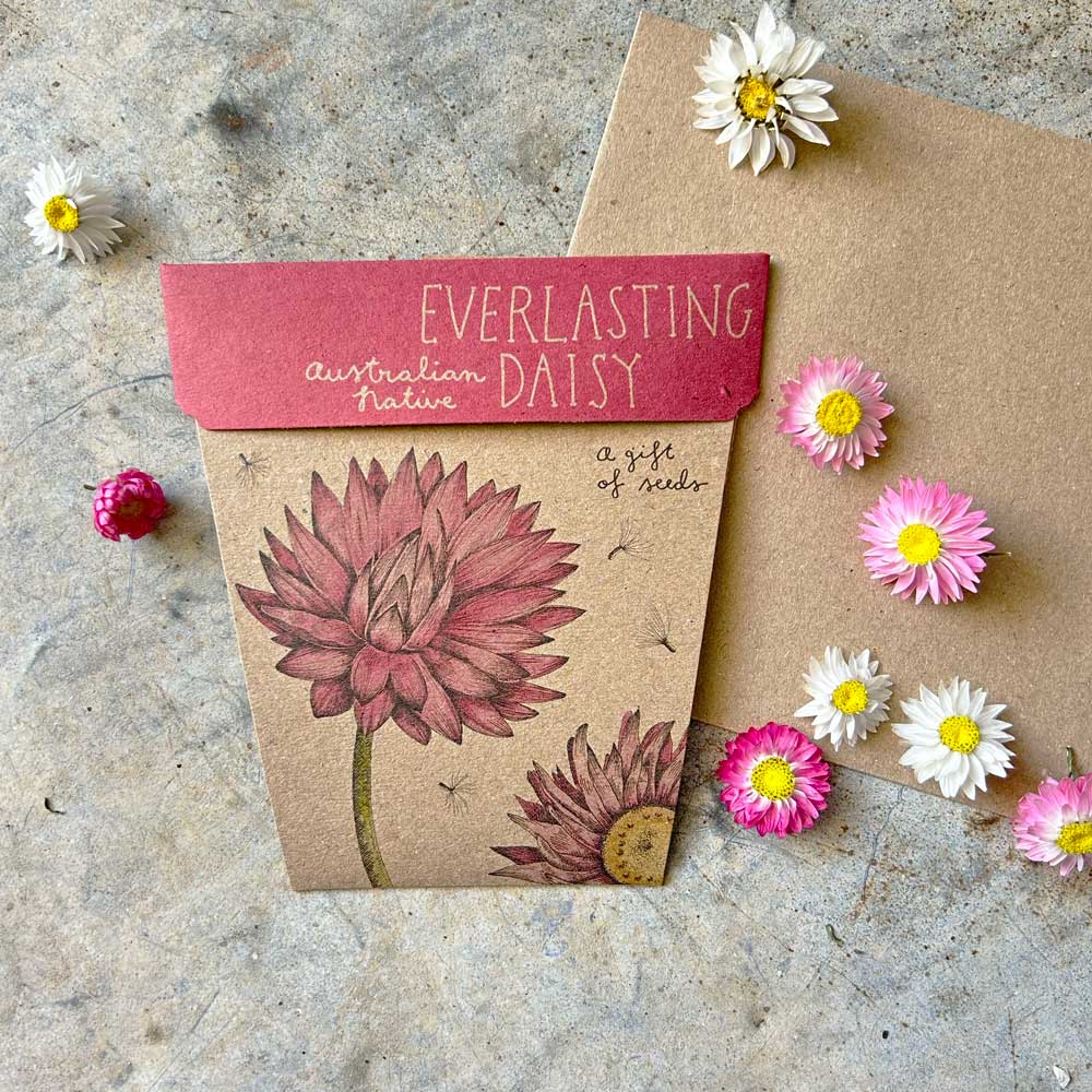 Greeting Cards with the Gift of Seeds