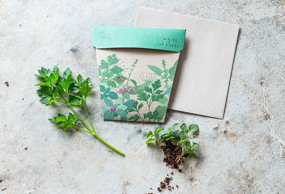 Greeting Cards with the Gift of Seeds