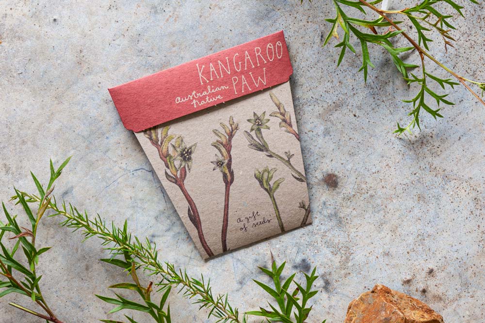 Greeting Cards with the Gift of Seeds