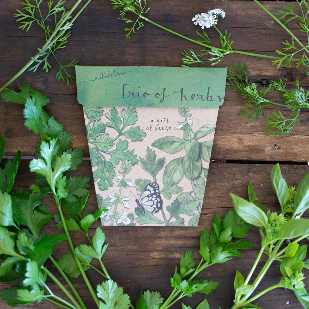 Greeting Cards with the Gift of Seeds